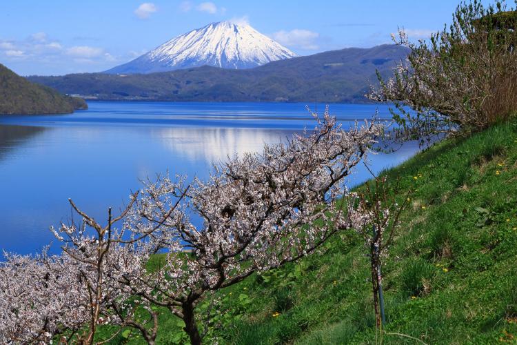 壮瞥公園(洞爺湖)