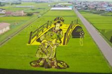 田んぼアート
