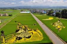 田んぼアート