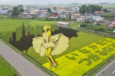 田んぼアート