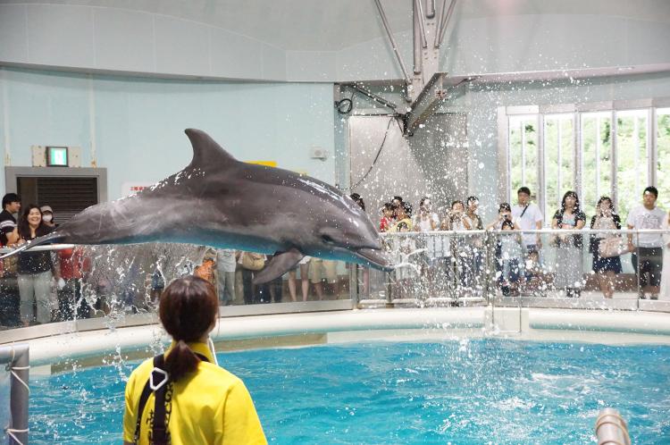 浅虫水族館