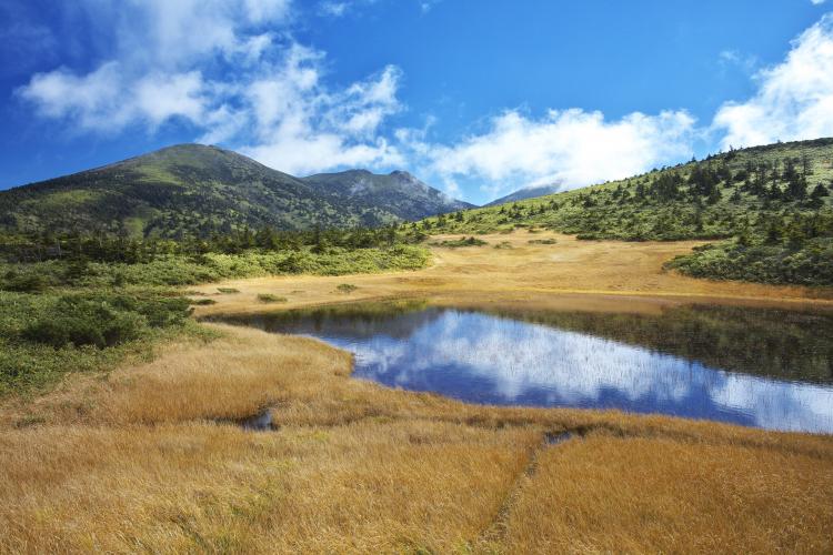 八甲田ゴードライン