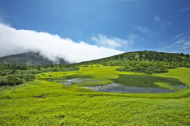 八甲田ゴードライン