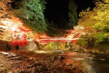中野もみじ山（中野神社）
