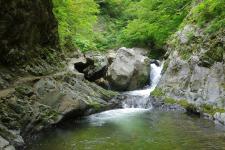 白神山地（暗門渓谷ルート）