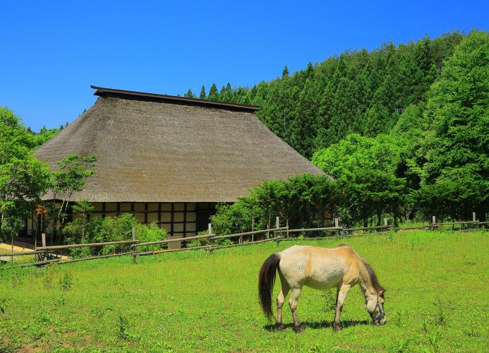 遠野ふるさと村