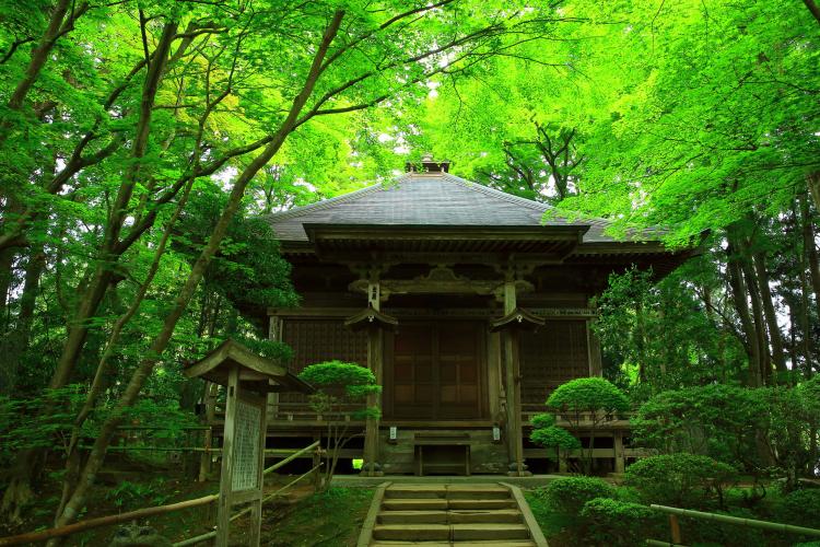 中尊寺(平泉)