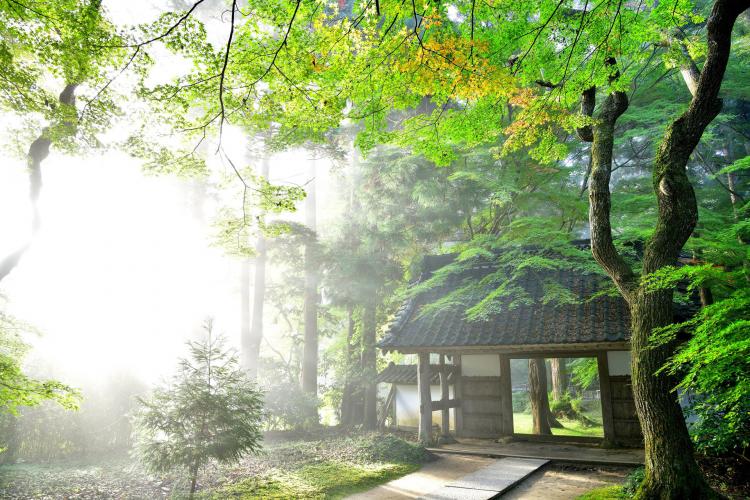 中尊寺(平泉)