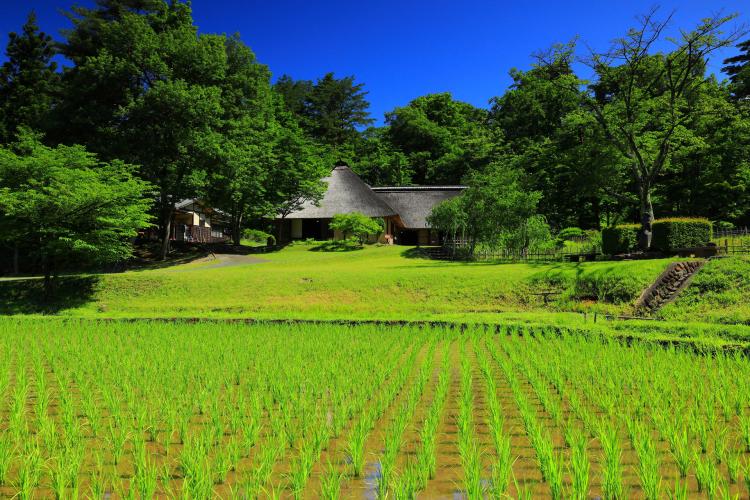 みちのく民俗村