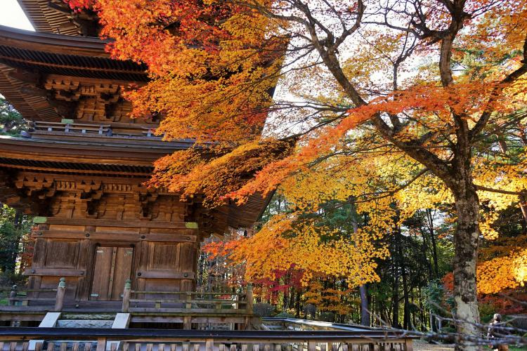 福泉寺