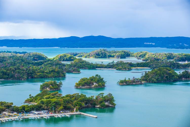 松島 ドライブコンサルタント