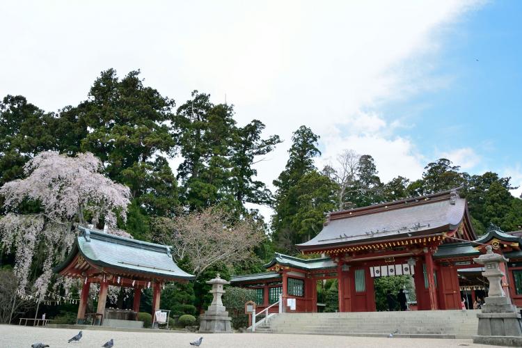 志波彦神社・鹽竈神社