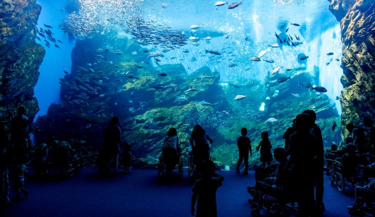 仙台うみの杜水族館