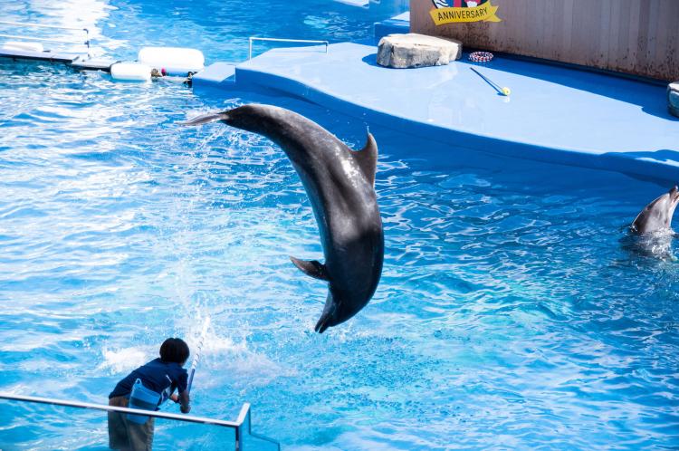仙台うみの杜水族館