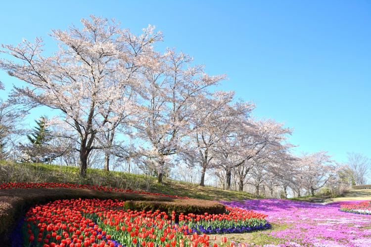 国営みちのく杜の湖畔公園