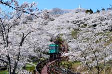 船岡城址公園