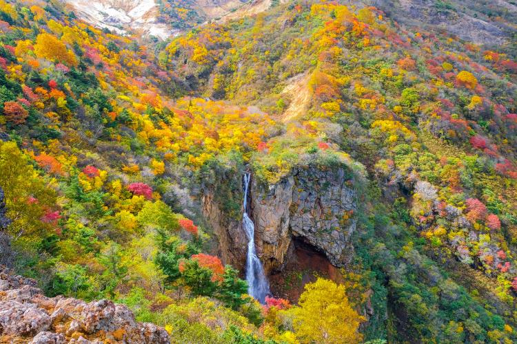 蔵王エコーライン