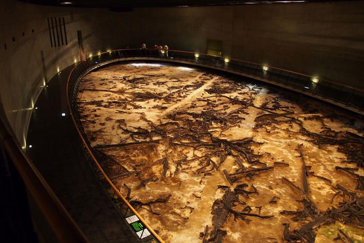 地底の森ミュージアム