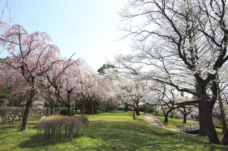 榴岡公園