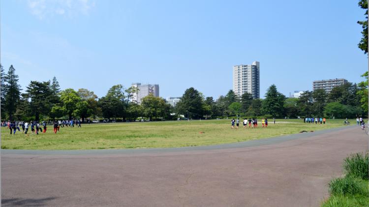 榴岡公園