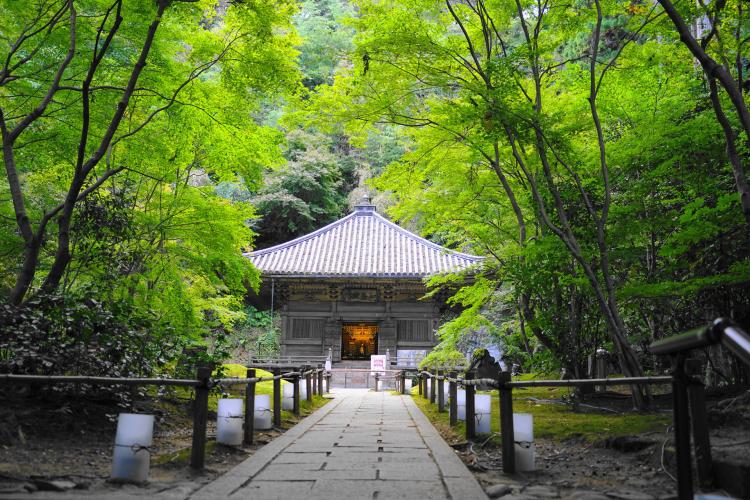 円通院