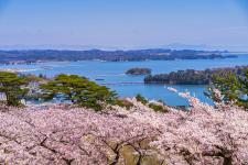 西行戻しの松公園