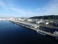 石巻魚市場