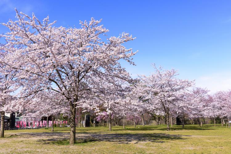 西公園