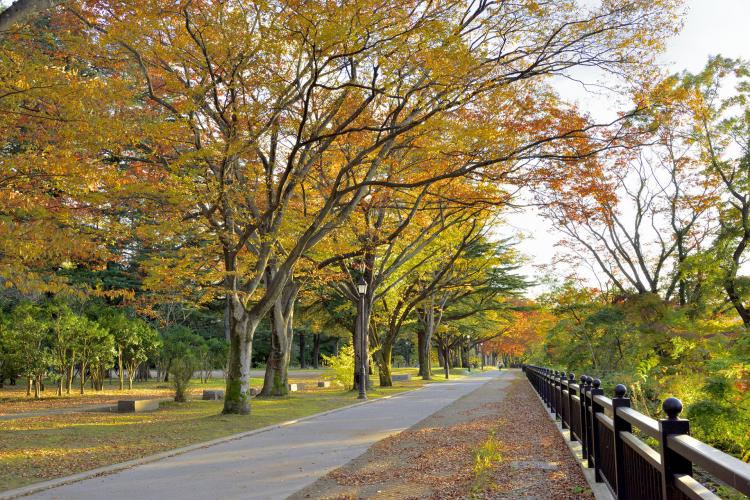 西公園