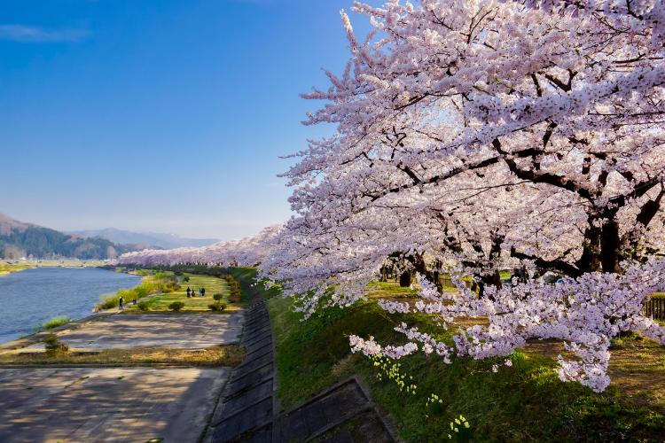 桧木内川