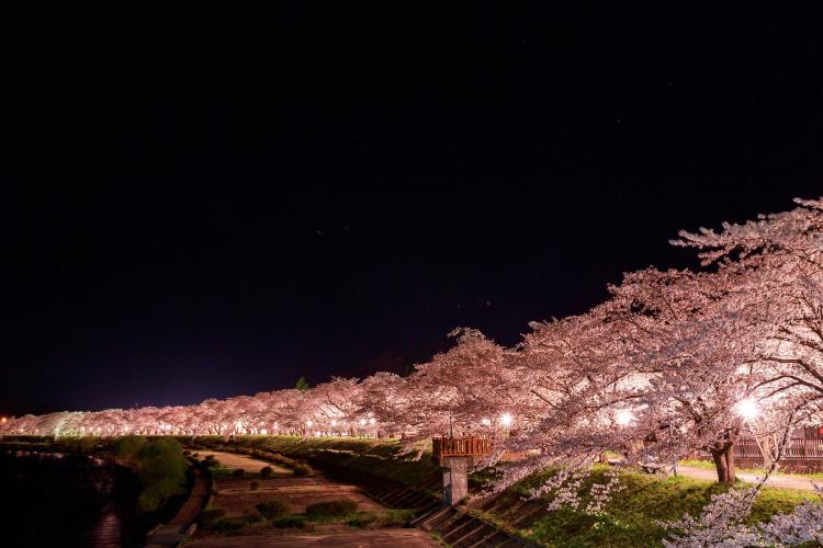 桧木内川