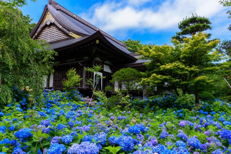 雲昌寺