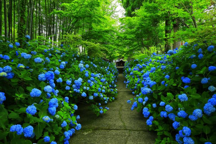 雲昌寺