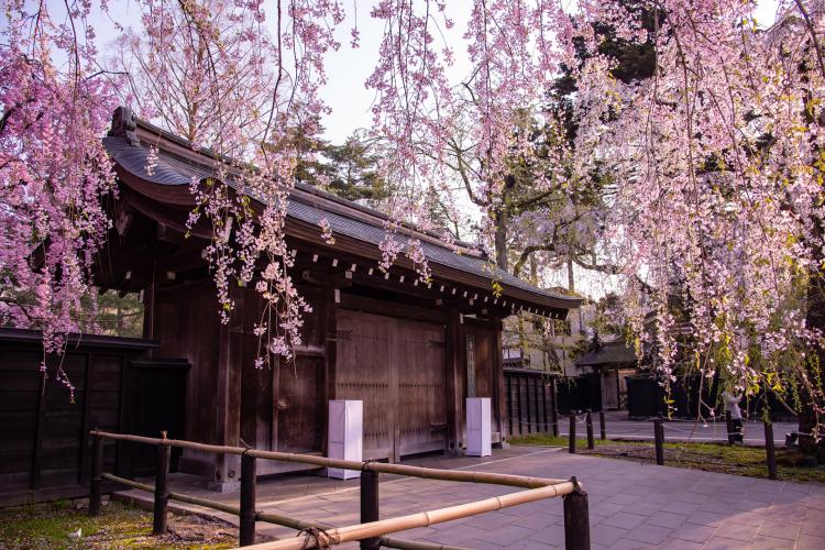 角館樺細工伝承館