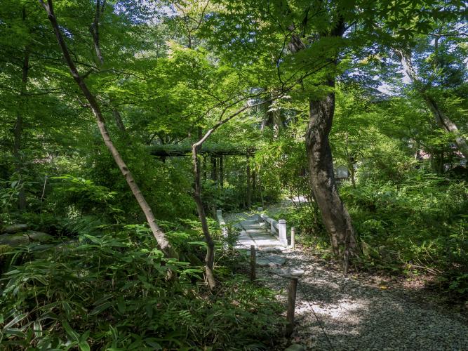 角館歴史村・青柳家