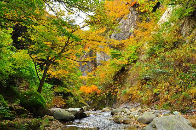 面白山紅葉川渓谷 ドライブコンサルタント 面白山紅葉川渓谷 ドライブコンサルタント