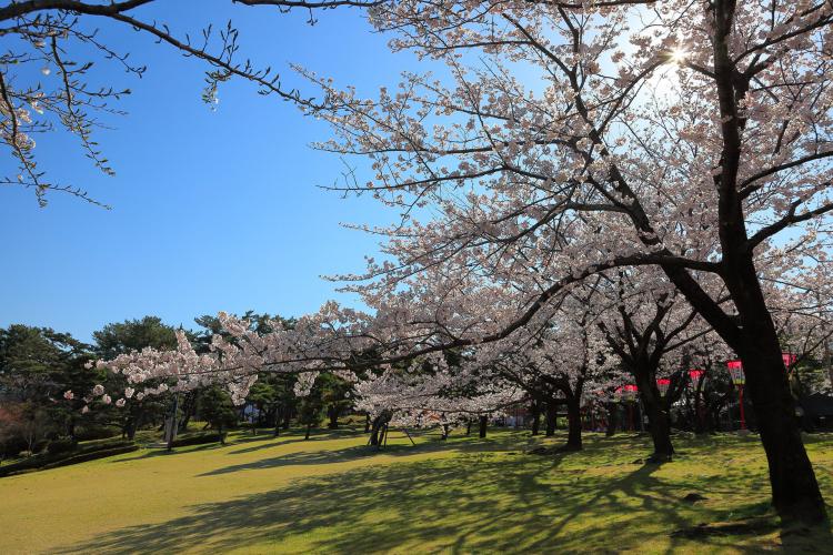 日和山公園