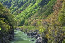 赤芝峡