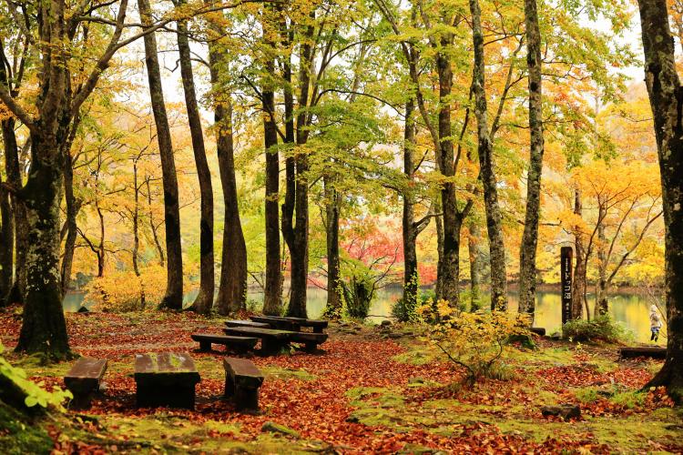 ドッコ沼(蔵王)