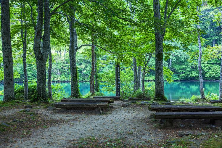 ドッコ沼(蔵王)