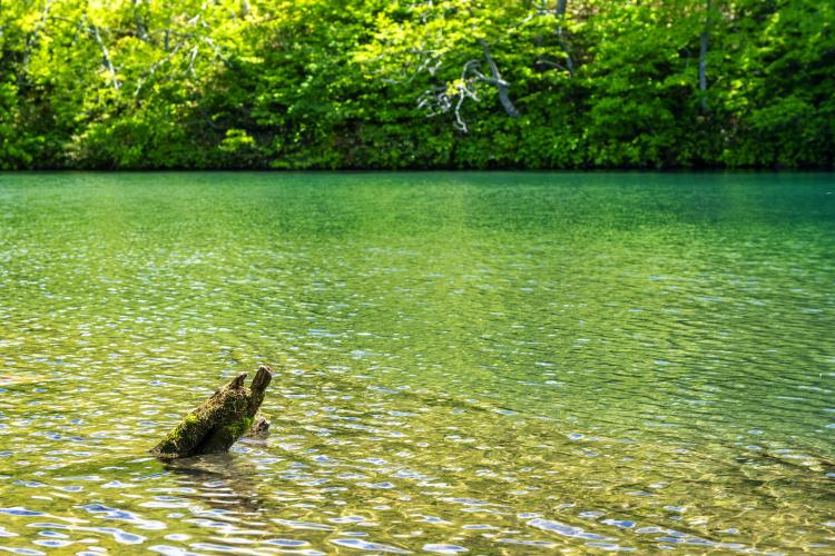 ドッコ沼(蔵王)