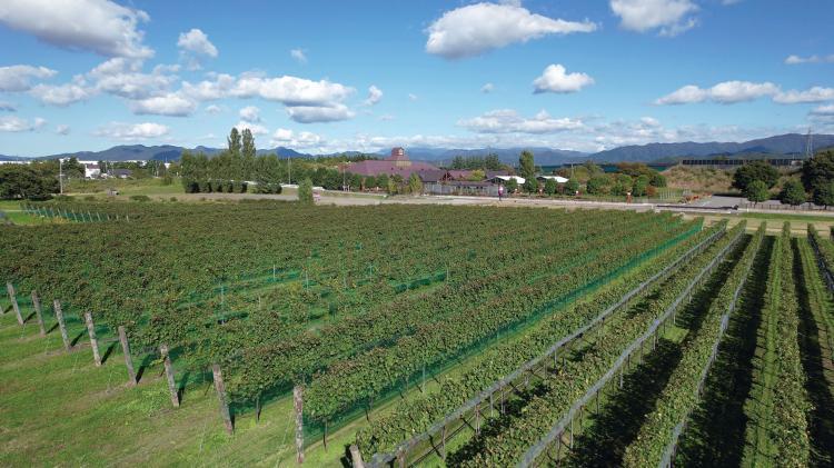 高畠ワイナリー