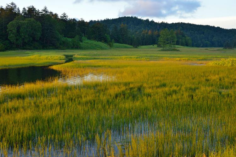 尾瀬(福島県側)