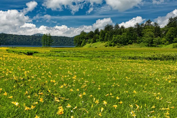 尾瀬(福島県側)