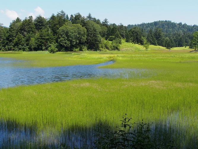 尾瀬(福島県側)