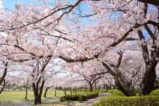 開成山公園