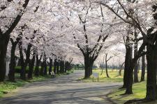 開成山公園