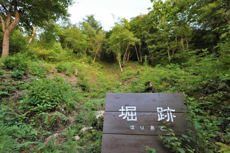 向羽黒山城