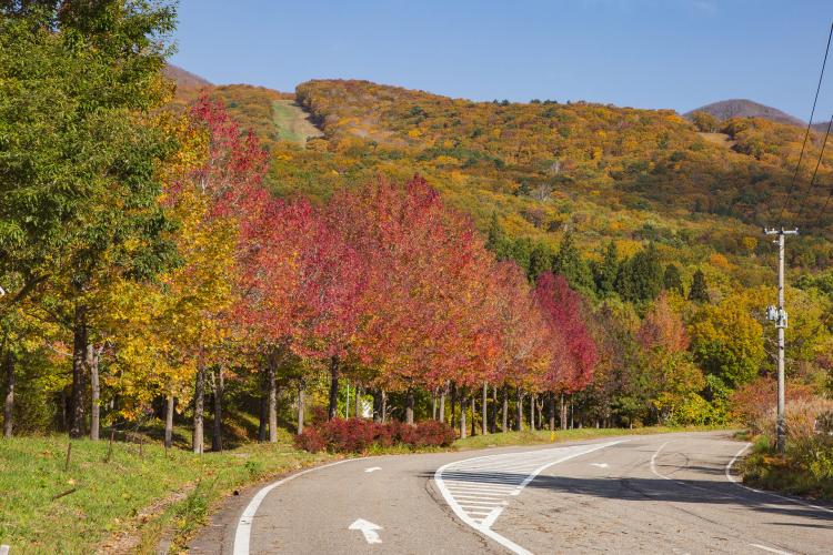 磐梯山ゴールドライン