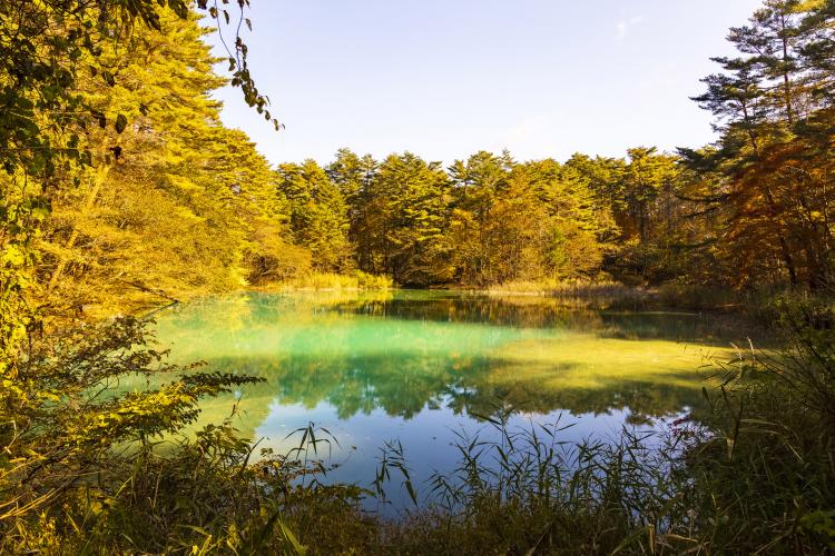 五色沼(裏磐梯高原駅側入口)